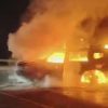 Mobil Jetour T2 Terbakar di Tol, Pabrikan Lakukan Penyidikan