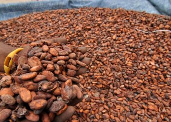 Kenaikan Harga Biji Kakao Akibat Penutupan Selat Hormuz