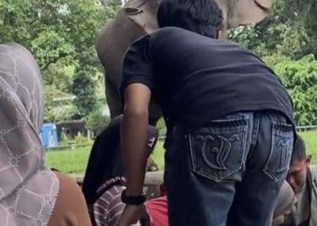 Bocah Terjatuh ke Kandang Gajah Ragunan, Pengelola Sebut Indikasi Konten