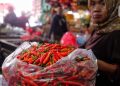 Harga Cabai Rawit Merah dan Telur Ayam Terbaru di Pasaran