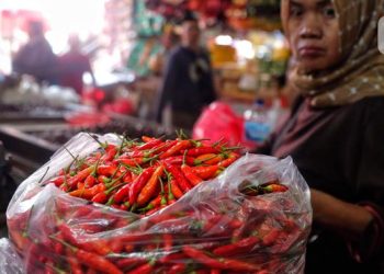 Harga Cabai Rawit Merah dan Telur Ayam Terbaru di Pasaran