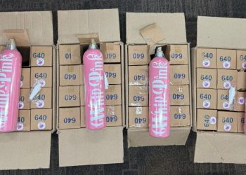 Asisten Pribadi YouTuber RA Diperiksa Mengaku Beli Whip Pink Sejak 2025