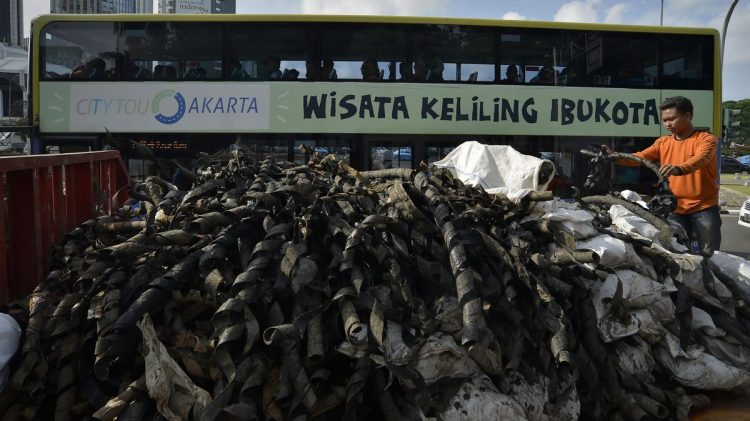 Pemkot Jaksel Wajibkan Usaha Olah Sampah Secara Mandiri