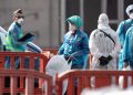 Dinkes DKI Temukan 4 Kasus Hantavirus di Jakarta Minta Warga Waspada