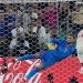 Drama Adu Penalti Singkirkan Belanda di Piala Dunia 2026