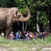 Pengunjung Ragunan Mencapai 135500, Pramono Anung Sebut Rekor Terbaru