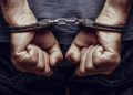 Tiga Penjual Sisik Trenggiling dan Kulit Beruang Diciduk di Sumut