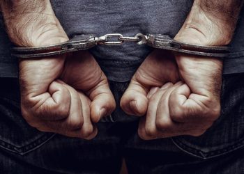 Tiga Penjual Sisik Trenggiling dan Kulit Beruang Diciduk di Sumut