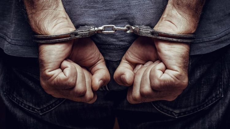 Tiga Penjual Sisik Trenggiling dan Kulit Beruang Diciduk di Sumut