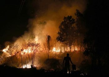 Hutan di Sumsel Terbakar Seluas 182,54 Ha dari Januari hingga April 2026