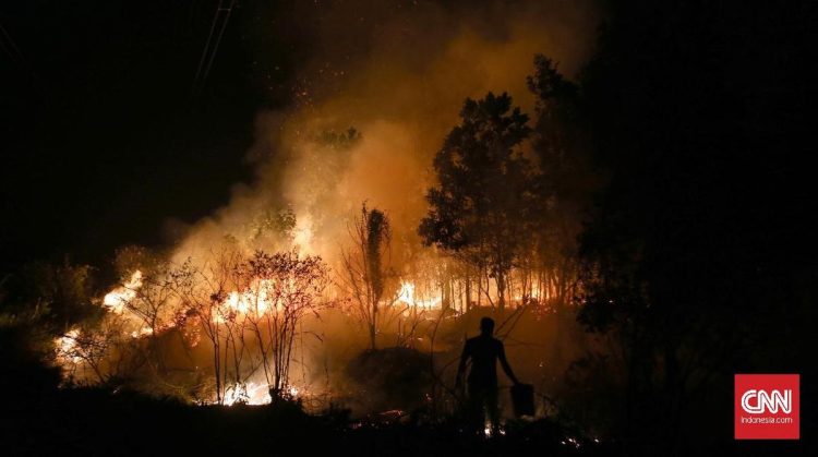 Hutan di Sumsel Terbakar Seluas 182,54 Ha dari Januari hingga April 2026