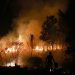 Hutan di Sumsel Terbakar Seluas 182,54 Ha dari Januari hingga April 2026