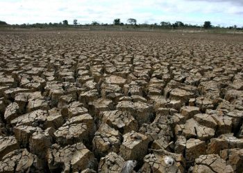 2.245 Warga Jabar-Jateng Terdampak Kekeringan Menurut BNPB