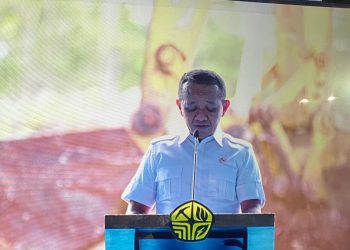 Pembangunan Proyek Blok Masela Diperkirakan Selesai Tahun 2029