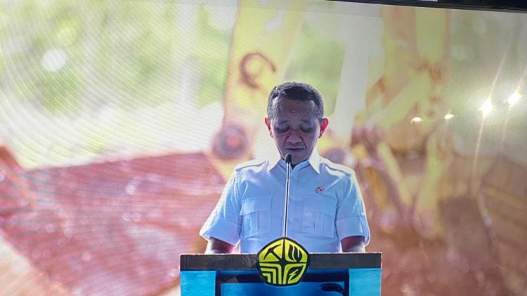 Pembangunan Proyek Blok Masela Diperkirakan Selesai Tahun 2029