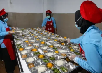 Surati BGN PDIP Minta Data Kader Terkait Program MBG