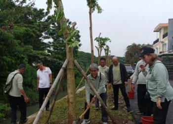 Tanam 448 Pohon di Jakarta Barat Selama Semester Pertama 2026