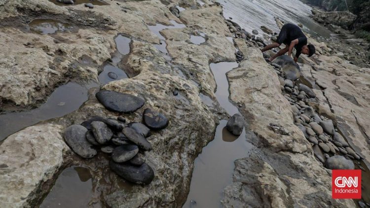 Kemarau Ekstrem, 140 Titik Di Banten Mengalami Kekeringan
