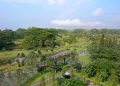Green Living di BSD City Memperkuat Wujud Kota Modern Berkelanjutan di Indonesia