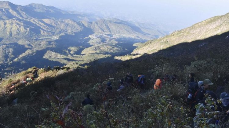 Open Trip Diblokir Karena Tidak Menggunakan Porter Lokal di Lawu