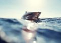 Speedboat Hilang Kontak di Gorontalo Ditemukan, 11 Warga Negara Asing Selamat