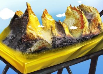 Penemuan Gunung Emas 53 Juta Ton di Kalimantan dan Kronologinya