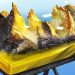 Penemuan Gunung Emas 53 Juta Ton di Kalimantan dan Kronologinya