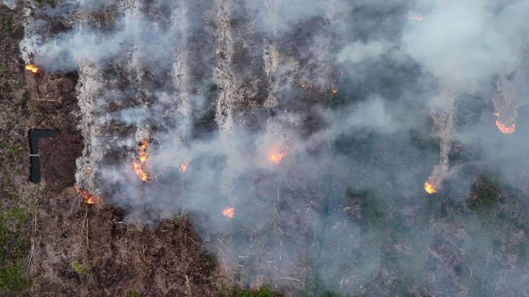 Karhutla Melanda Gunung Gombak Ponorogo, 15 Hektare Lahan Terbakar