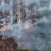 Karhutla Melanda Gunung Gombak Ponorogo, 15 Hektare Lahan Terbakar