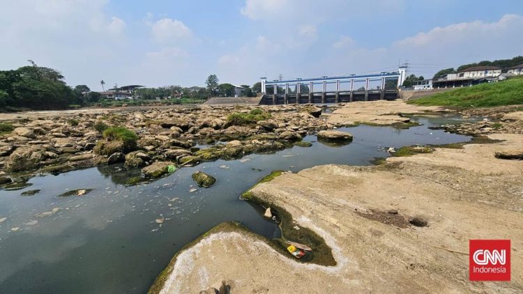 Debit Air Sungai Cisadane Menyusut 12 Persen pada Musim Kemarau