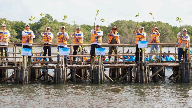 Hari Mangrove Sedunia 2026, Ajak Masyarakat Tanam 1 Juta Mangrove
