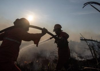 Usaha Memadamkan Kebakaran Lahan di Ogan Ilir