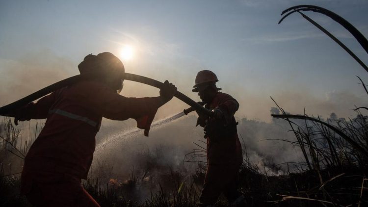 Usaha Memadamkan Kebakaran Lahan di Ogan Ilir
