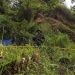 Penghentian Tambang Emas Ilegal di Hutan Produksi Terbatas Sulut, Dua Tersangka Ditetapkan