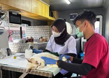 DKI Siapkan 5 Mobil Klinik Hewan Keliling di Lima Wilayah Kota