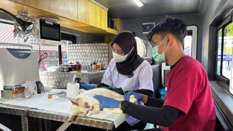 DKI Siapkan 5 Mobil Klinik Hewan Keliling di Lima Wilayah Kota