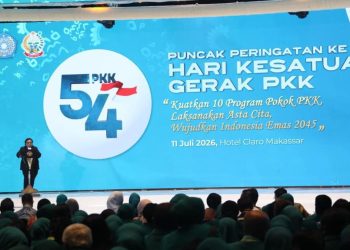 Wakil Menteri Dalam Negeri Ribka Tekankan Pentingnya Pemda Perkuat TP PKK