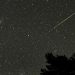 Hujan Meteor Perseid Perindah Langit Indonesia Malam Ini