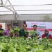 Pemberdayaan Ibu Muda di Bekasi oleh Sharp Hydro Heroes