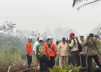 Kebakaran Hutan Kalimantan Terkendali Menurut Prabowo: Dulu Lebih Parah
