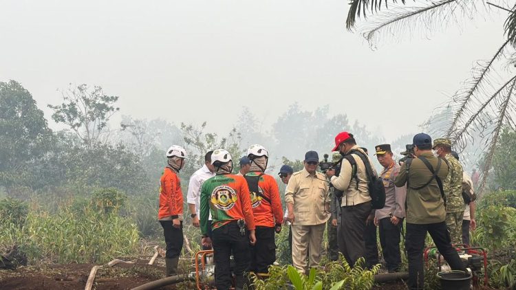 Kebakaran Hutan Kalimantan Terkendali Menurut Prabowo: Dulu Lebih Parah