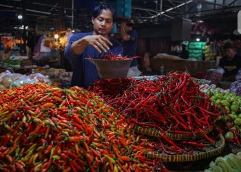 Harga Cabai Semakin Tinggi Tiga Teratas