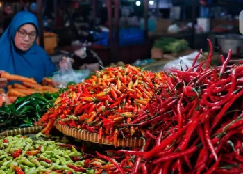 Harga Pangan 22 Agustus 2026: Cabai Rawit Merah Rp 70450 per Kg