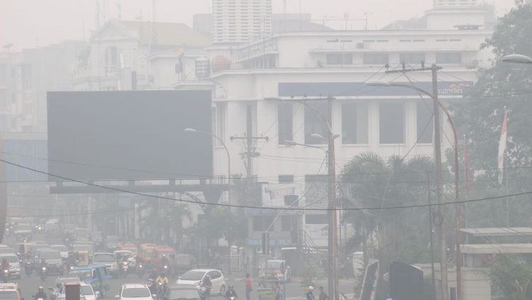 64 Hotspot Kebakaran Hutan dan Lahan di Sumut, Terbanyak di Karo