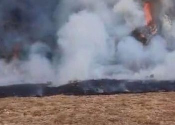 Pendakian Gede-Pangrango Ditutup Karena Kebakaran, Tiket Dapat Dikembalikan