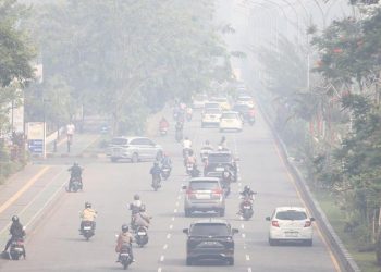 Bupati Ketapang Kalbar Komentari Korban Tewas dalam Kasus Karhutla