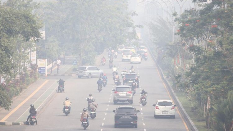 Bupati Ketapang Kalbar Komentari Korban Tewas dalam Kasus Karhutla