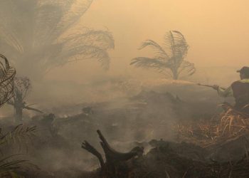 Hotspot Kalbar dan Kalteng Bertambah Jarak Pandang 1 hingga 1,5 Km