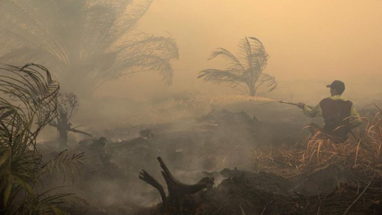 Hotspot Kalbar dan Kalteng Bertambah Jarak Pandang 1 hingga 1,5 Km