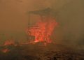 Catatan BPBD 936 Hektare Hutan dan Lahan Terbakar di Kaltim